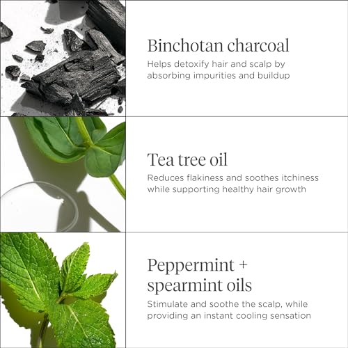 Briogeo Scalp Revival Charcoal + Tea Tree Scalp Treatment | Leave-In Serum