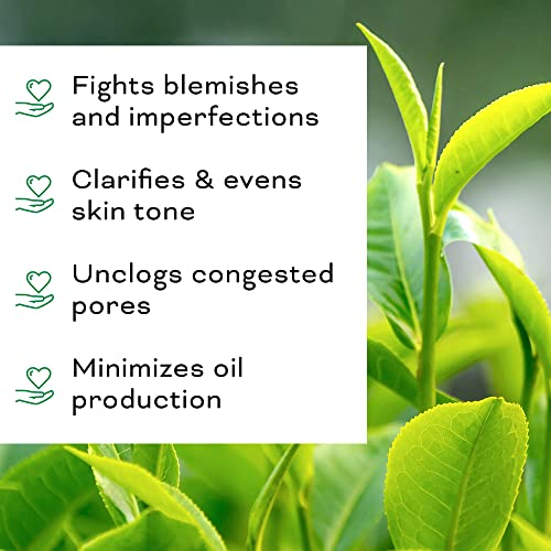 Beauty Foundry Clarifying Tea Tree Oil for Face and Acne, Targets Acne and Uneven Skin Tone, Antioxidant-Rich Beauty Oil, 1oz/30ml