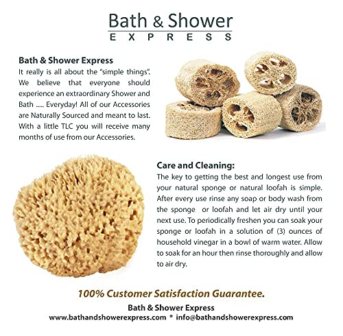 Natural Sea Wool Sponge Bath & Shower Express 4-5" (Small) Authentic Renewable Resource for Women & Men Esponja for Exfoliating and Washing Body