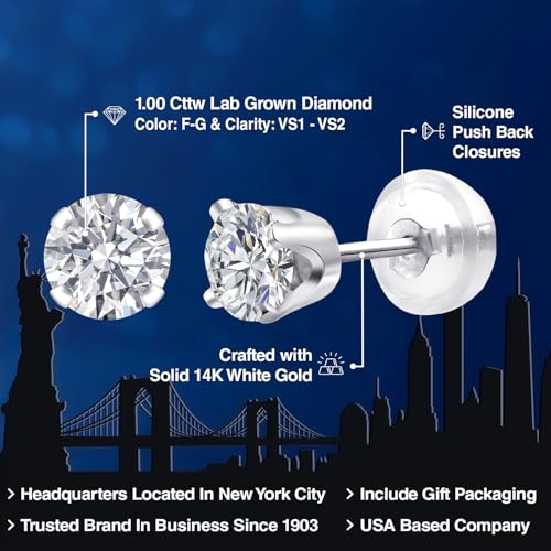 Gem Stone King 14K Gold Lab Diamond Stud Earrings, White Gold, 1.00 Cttw