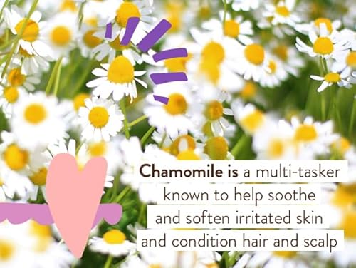 Babo Botanicals Calming Lavender Body Lotion - Relaxing Chamomile & Lavender - Vegan- For all ages- Scented with Lavender fragrance