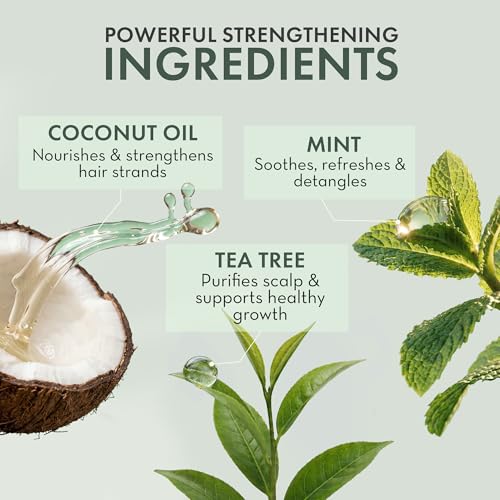 Leave In Conditioner Spray – Tea Tree Scalp Treatment (2 Pack)