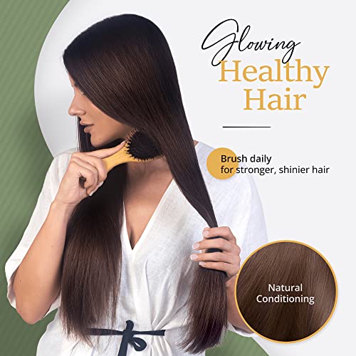 Belula Boar Bristle Hair Brush Set for Thick, Long and Curly Hair, Large
