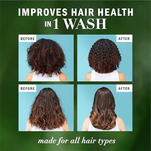 Herbal Essences Argan Oil Paraben Free Shampoo, Hair Repair, 20.2 fl oz, with Certified Camellia Oil and Aloe Vera, For All Hair Types, Especially Damaged Hair