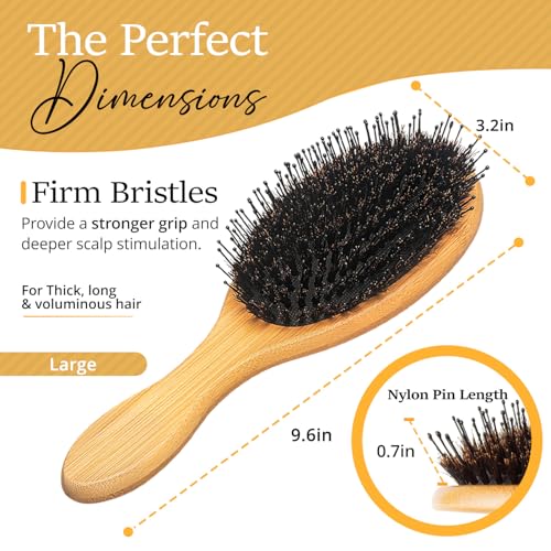 Belula Boar Bristle Hair Brush Set for Thick, Long and Curly Hair, Large