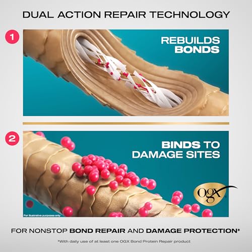 OGX Repair + Protect Bond Protein Repair Shampoo and Conditioner Set, targets damaged areas for bond protection, sulfate-free, hydrating care for color-treated, dry hair, 13 fl oz each (Pack of 2)