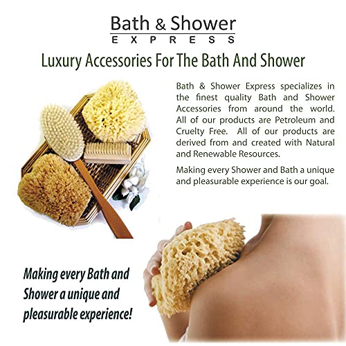 Natural Sea Wool Sponge Bath & Shower Express 4-5" (Small) Authentic Renewable Resource for Women & Men Esponja for Exfoliating and Washing Body