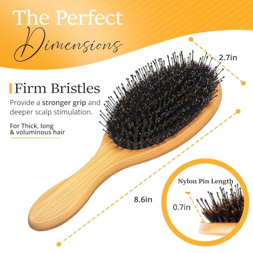 Belula Boar Bristle Hair Brush for Women and Men, Detangle Any Type of Hair