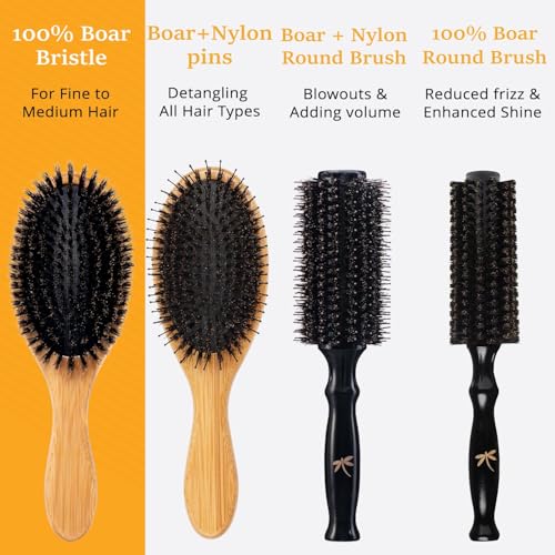 Belula 100% Boar Bristle Hair Brush Set, Medium, for Thin and Fine Hair