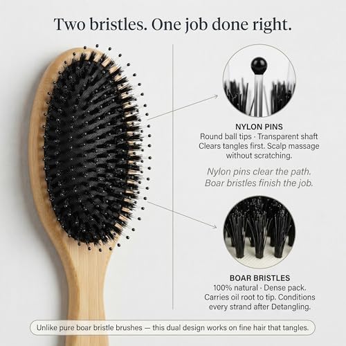BESAXA Boar Bristle Hair Brush for Fine and Thin Hair, Women