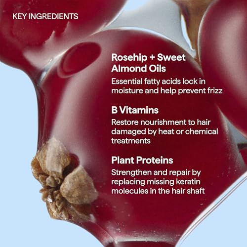 Briogeo Don't Despair, Repair! Super Moisture Conditioner | Moisturizing Protein Conditioner with Argan Oil for Dry, Damaged Hair | Silicone-Free | Vegan & Cruelty-Free | 16 fl oz