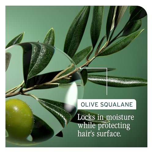 Biolage Strength Recovery Conditioner – For Damaged Hair, 8 fl oz