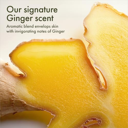 Origins Ginger Souffle Whipped Body Cream | Body Butter For Dry Skin | With Ginger, 6.7 Fl Oz