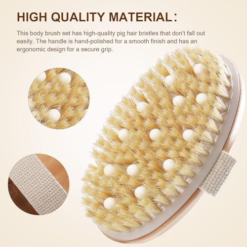 DEBETOOL Dry Brush Set with 3 Detachable Heads, Natural Boar Bristle