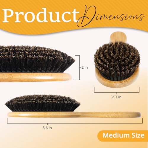Belula 100% Boar Bristle Hair Brush Set, Medium, for Thin and Fine Hair