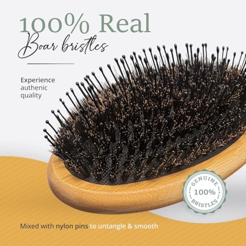 Belula Boar Bristle Hair Brush for Women and Men, Detangle Any Type of Hair
