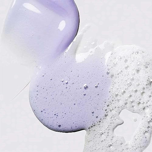 Pureology Hydrate Moisturizing Shampoo | Softens and Deeply Hydrates Dry Hair | For Medium to Thick Color Treated or Natural Hair | Sulfate Free Shampoo | Vegan