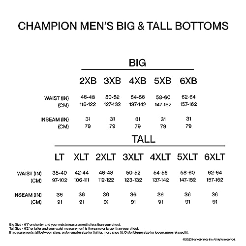 Champion Mens Sweatshirt, Powerblend, Fleece Crewneck (Reg. Big & Tall) Sports-fan-sweatshirts, Navy C Logo, Large US