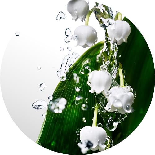 Davidoff Cool Water Eau de Toilette – Fresh Floral Women's Perfume – With Notes of Watermelon, Lily of the Valley & Musk – Long Lasting Fragrance