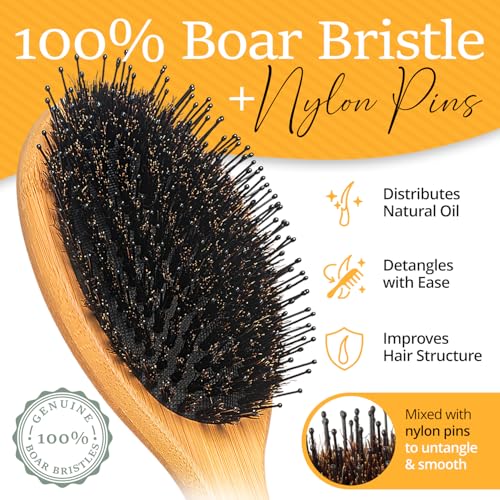 Belula Boar Bristle Hair Brush Set for Thick, Long and Curly Hair, Large