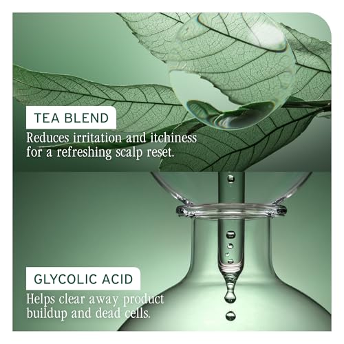 Biolage Scalp Sync Purifying Concentrate – For All Scalp Types, 6.8 Fl Oz