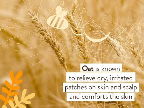 Babo Botanicals Moisturizing Oat & Calendula Miracle Face Cream - Shea Butter - For Dry or Sensitive Skin - For all ages - Vegan