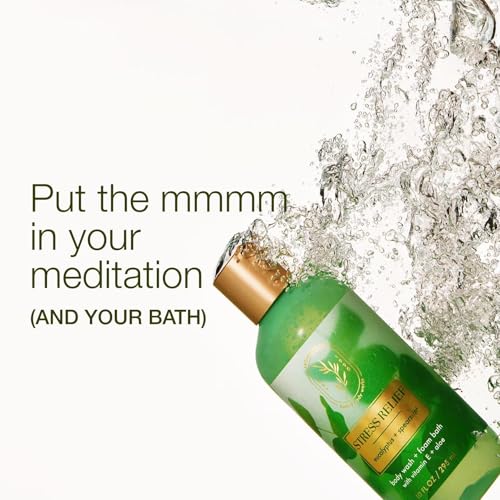 Bath & Body Works Eucalyptus Spearmint Body Wash & Foam Bath, Aromatherapy Cleanser with Vitamin E & Aloe, Non-Drying & Gentle for Daily Use, 10 fl oz - 1 Pack