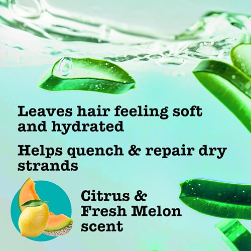 Maui Moisture Heal & Hydrate + Shea Butter Shampoo to Repair & Deeply Moisturize Tight Curly Hair with Coconut & Macademia Oils, Vegan, Silicone, Paraben & Sulfate-Free, 13 fl oz