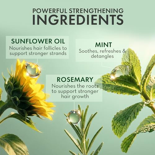 Leave In Conditioner Spray - Rosemary & Mint Scalp Treatment