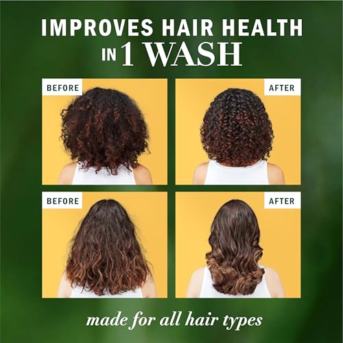 Herbal Essences Honey Daily Moisture Conditioner, Protects and Nourishes Dry Hair, Hydrating Conditioner with Certified Camellia Oil and Aloe Vera, Moisturizing and Safe For All Hair Types, 33.8oz