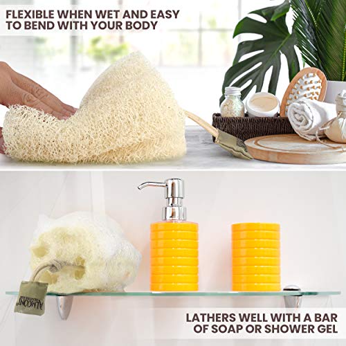 ALMOONI Natural Loofah Body Scrubber, Egyptian Loofah Sponge, 3 Count