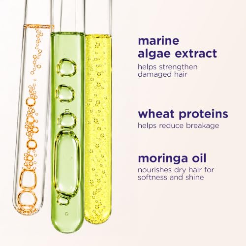 Maria Nila Structure Repair, Strengthening & Nourishing Conditioner For Damaged & Chemically Treated Hair, Algae Extract Rebuilds, Revitalizes & Repairs Hair, 10.1 Fl Oz