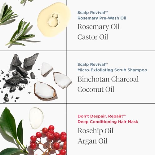 Briogeo Healthy Hair Delights Holiday Kit | Clean Hair Repair Gift Set for All Hair Types | Deep Conditioning Mask, Scalp Scrub & Rosemary Pre-Wash Oil | Vegan & Cruelty-Free