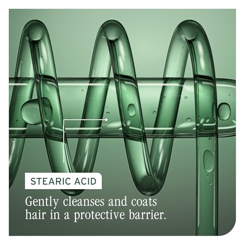 Biolage Color Last Conditioner | Color Safe Conditioner | Helps Maintain Depth & Shine | For Color-Treated Hair | Paraben & Silicone-Free | Vegan| Cruelty Free | 1.7 Fl. Oz