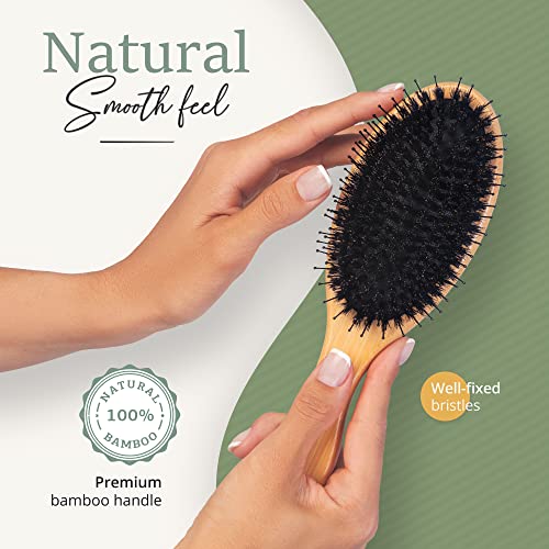 Belula Boar Bristle Hair Brush Set for Thick, Long and Curly Hair, Large
