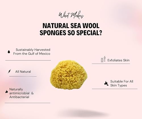 Natural Sea Wool Sponge Bath & Shower Express 4-5" (Small) Authentic Renewable Resource for Women & Men Esponja for Exfoliating and Washing Body