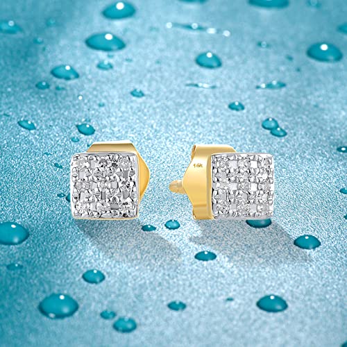 Santuzza 10K Yellow Solid Gold Genuine Diamond Dainty Square Stud Earrings for Women