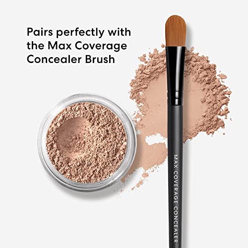 bareMinerals Loose Powder Concealer SPF 20, Bisque, Vegan, Cruelty-Free & Dermatologist-Tested