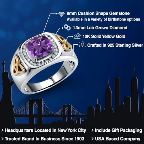 Gem Stone King Two-Tone Cushion Cut Ring for Men | Amethyst | 7