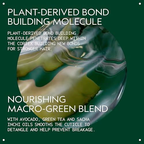 Aveda Botanical Repair Strengthening Conditioner | Instantly Detangles to Prevent Breakage | Strengthens & Repairs Damaged Hair | Builds Bonds | 98% Naturally Derived* | Silicone Free, 6.7 Fl Oz