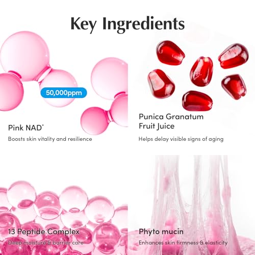 EQQUALBERRY NAD+ Peptide Boosting Cream – NAD+ 5% & 13 Peptides Anti-Aging Korean Skincare Face & Body Cream | Firming & Lifting Pink Neck Cream for Sagging Skin (1.69 fl.oz / 50ml)