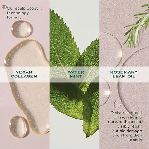 Shea Moisture Strengthening Scalp & Hair Oil Rosemary & Collagen 2oz