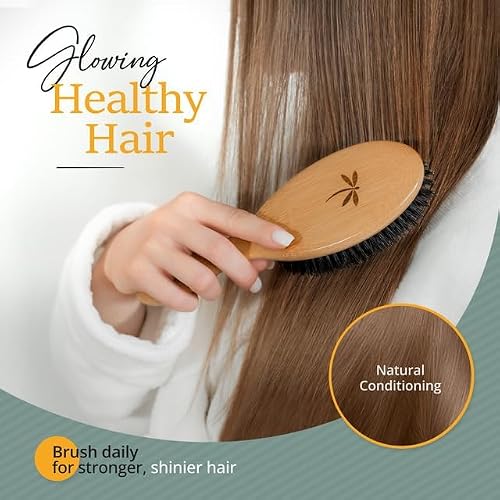 Belula 100% Boar Bristle Hair Brush Set, Medium, for Thin and Fine Hair