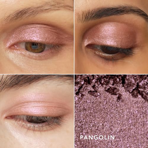Chantecaille Luminescent Eye Shade, Pearlescent Light-Catching Multi-Dimensional Shimmer Eyeshadow, Pangolin