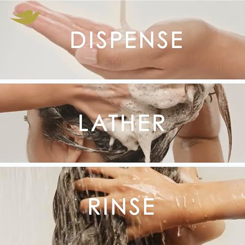Dove Shampoo and Conditioner Coconut & Hydration 2 Count for Dry Hair with Bio-Protein Care Technology and Coconut Oil 12 Fl Oz