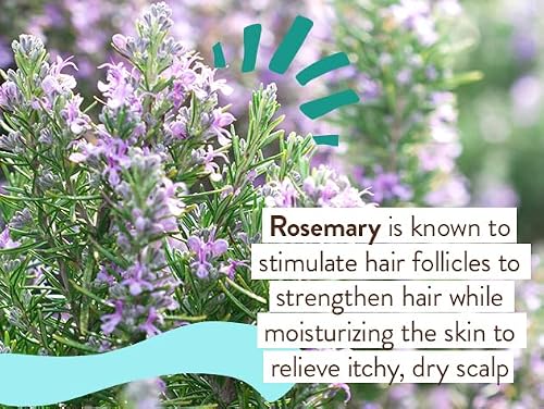 Babo Botanicals Eucalyptus Remedy 2-in-1 Bubble Bath & Wash - Invigorating Eucalyptus, Rosemary & Peppermint - For all ages - EWG Verified - Vegan